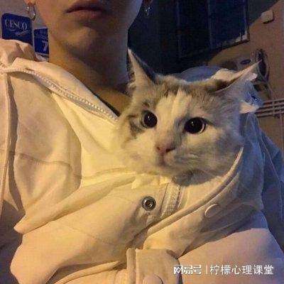 精灵游乐园变态版下载