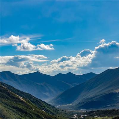 forgone游戏(暂未上线)v1.0 安卓版